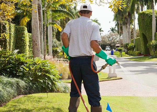 About Monterey CA Pest Control